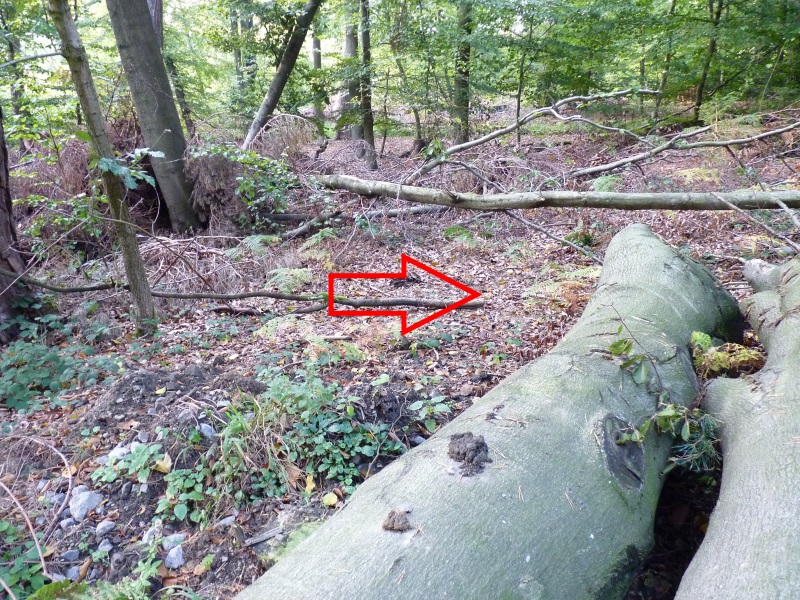 Fundort des verlorenen Silberrings.
