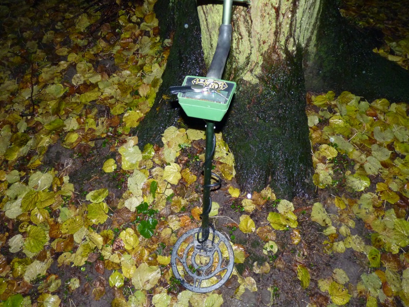 Verlorener Schlüssel von Hundebox wiedergefunden.